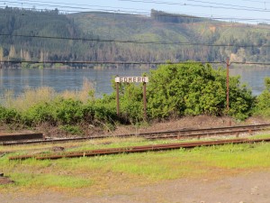 IMG_2552