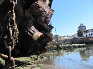 IMG_8236